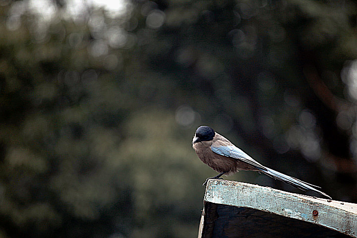 Ƭ 044.jpg