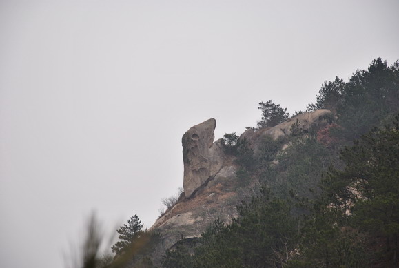 dsc_0809.jpg