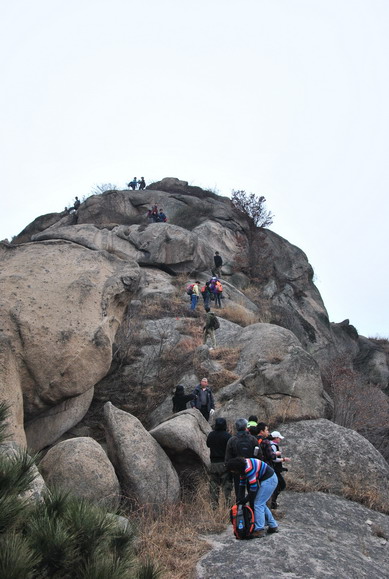 dsc_0810.jpg