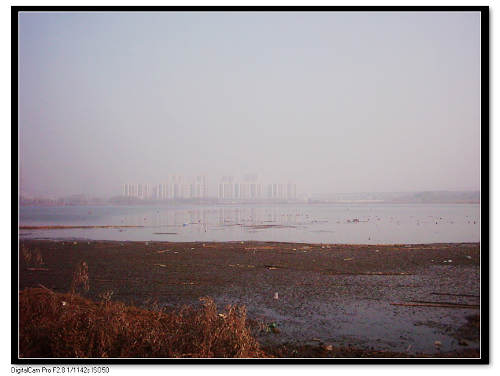 dsci0025.jpg