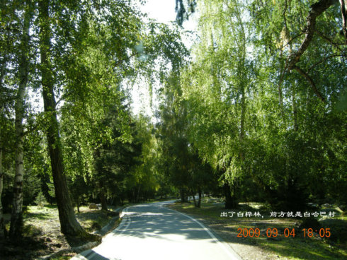 dscn2332.jpg