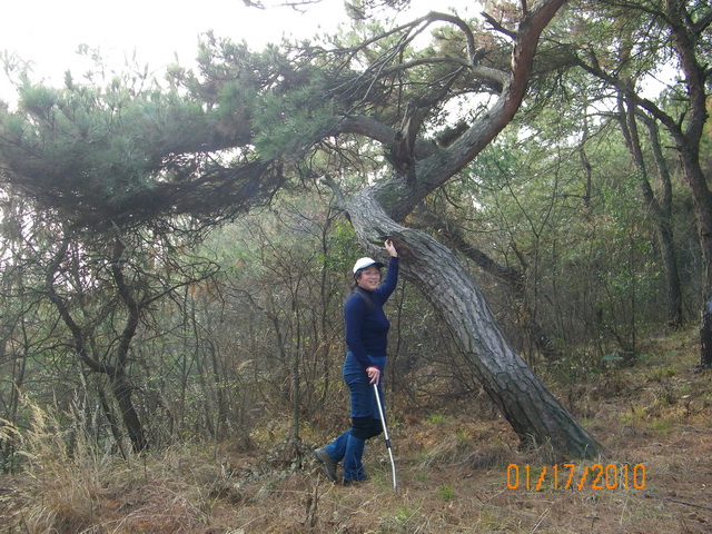100_0538_С.jpg