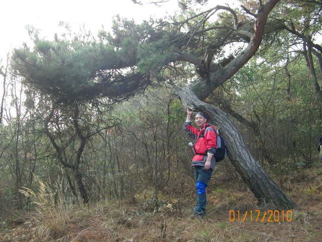 100_0540_С.jpg