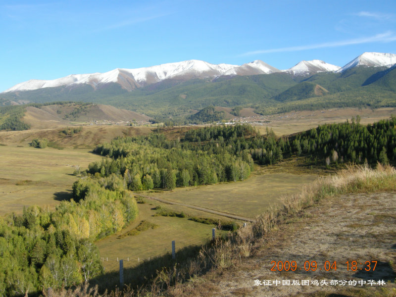 dscn2349.jpg