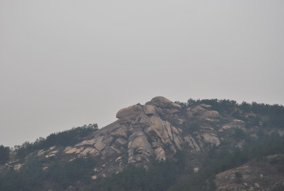 dsc_0800.jpg