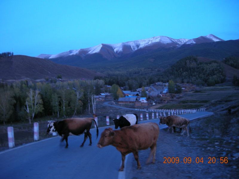 dscn2391.jpg