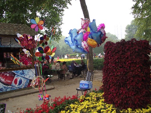 2010_10100044_.jpg