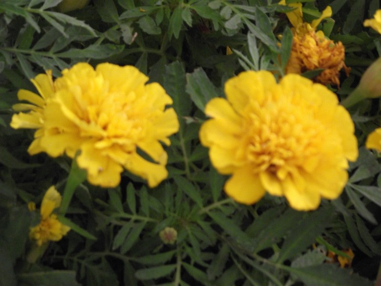 2010_10100050_.jpg
