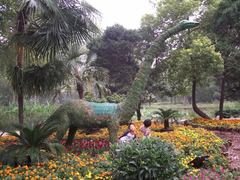 2010_10100028_.jpg