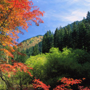 Ĳṵ04.jpg