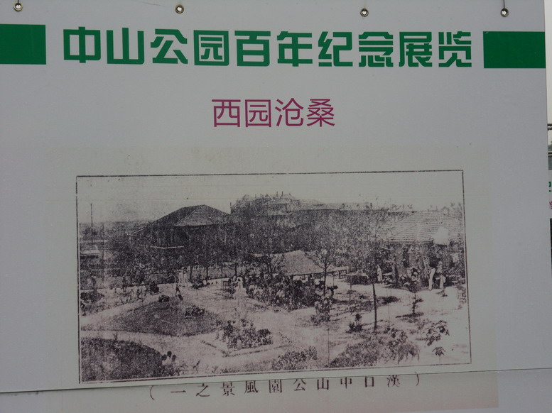 sdc10956.jpg