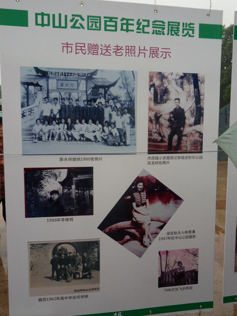 sdc10978.jpg