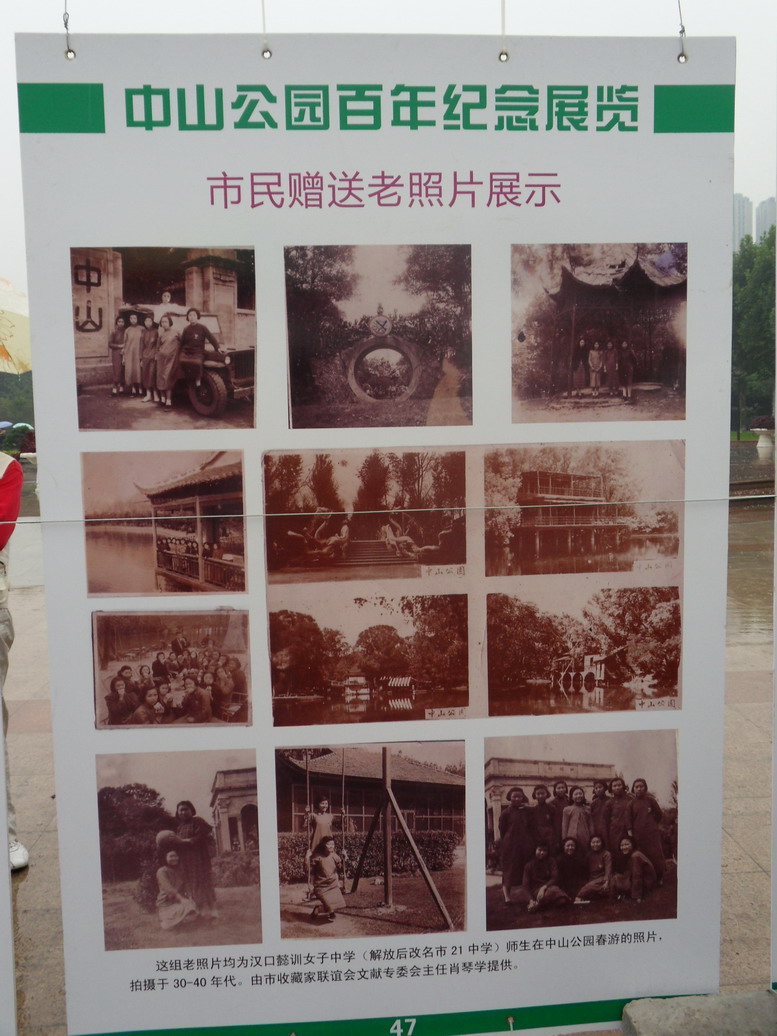 sdc10979.jpg