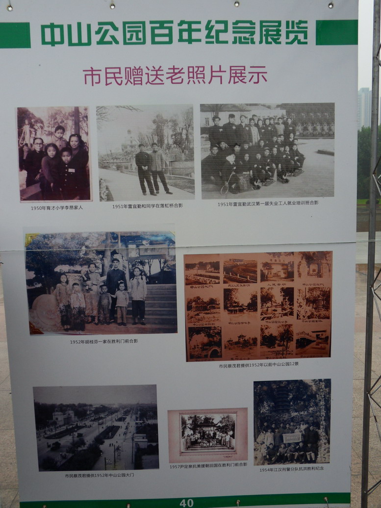 sdc10972.jpg