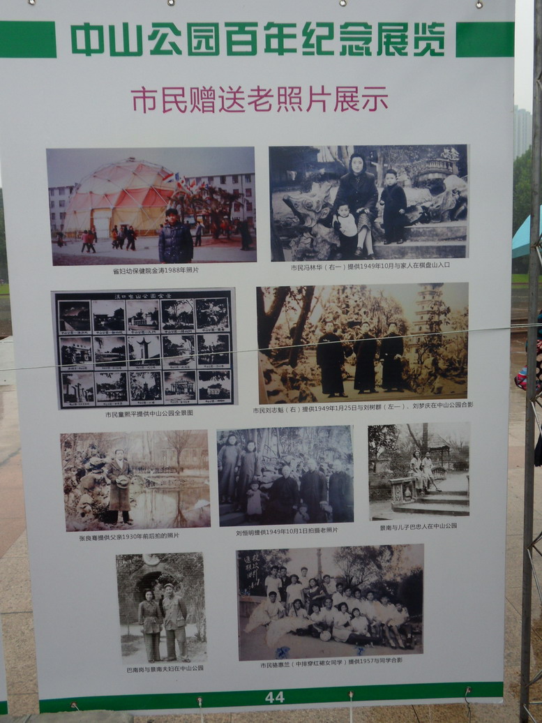 sdc10976.jpg