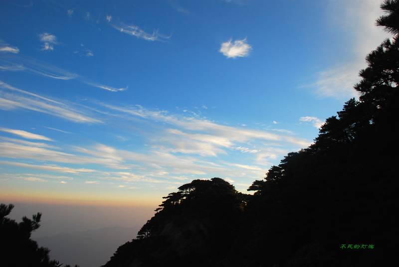 dsc_5998_neo_img.jpg