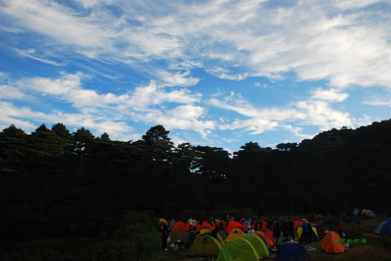 dsc_6031_neo_img.jpg