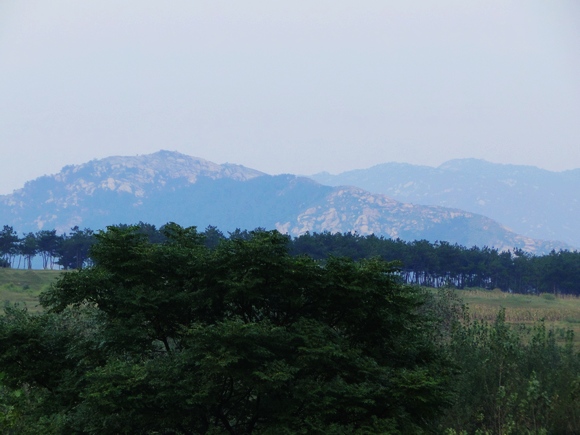 dsc04966.jpg