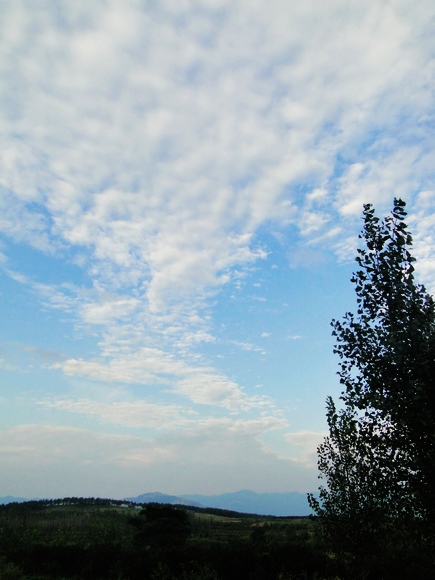 dsc04968.jpg
