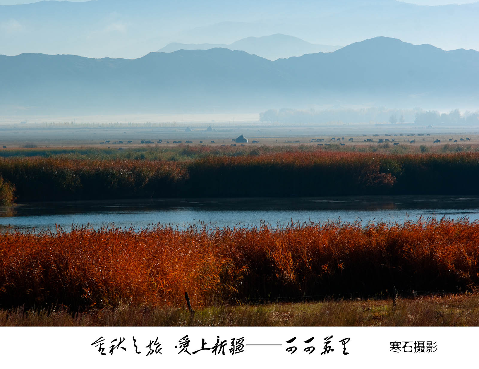 dsc02870.jpg
