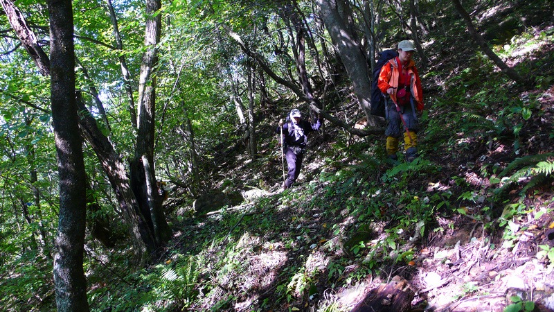 p1040164.jpg