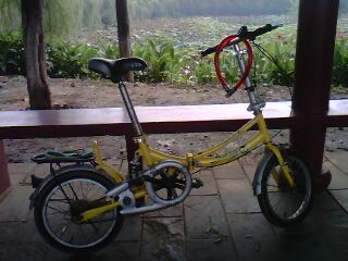 img0029a.jpg
