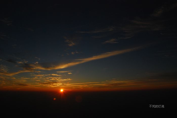 dsc_5975_neo_img.jpg