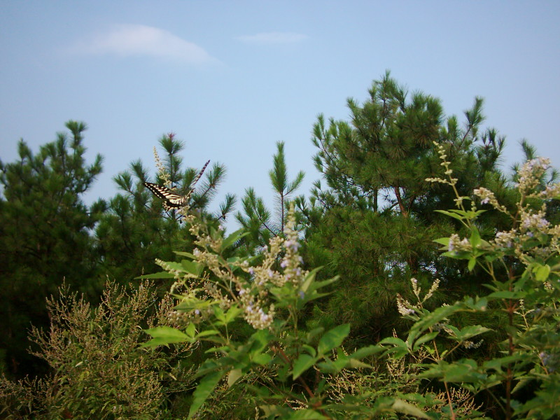 201083012372532933.jpg
