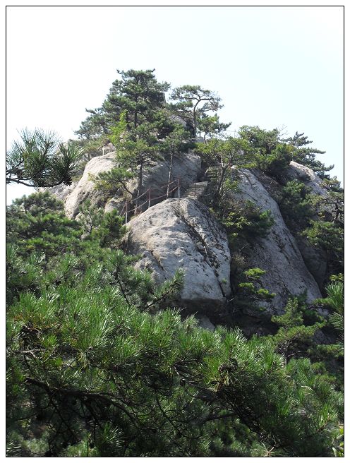 sdc13342.jpg