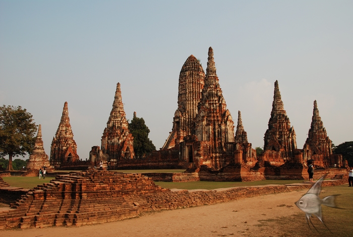 02011500.jpg