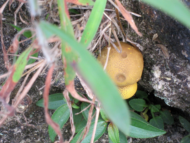 2010.10 150.jpg