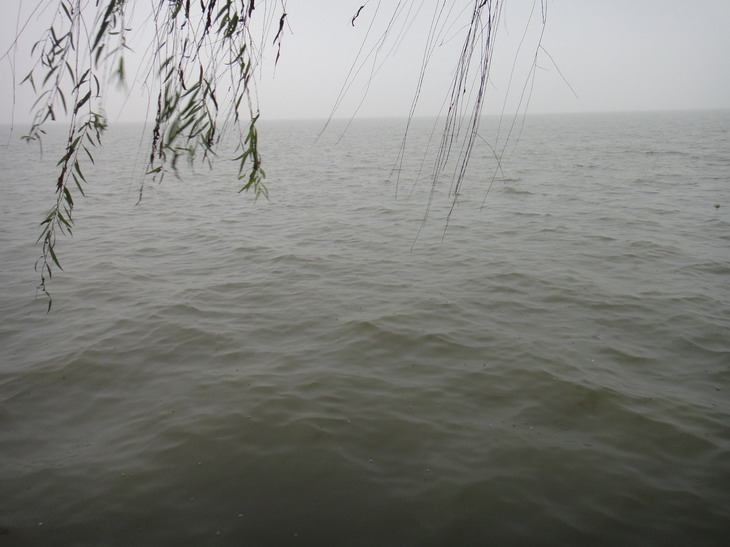dsc04104.jpg