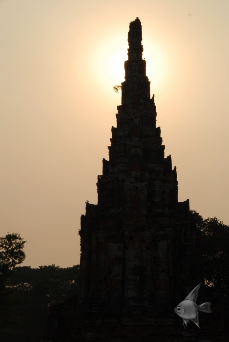 02011542.jpg