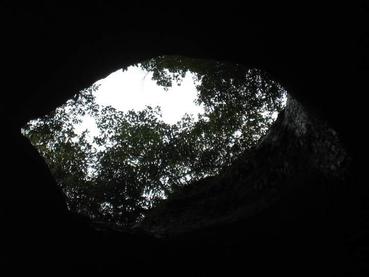 7 (84).jpg