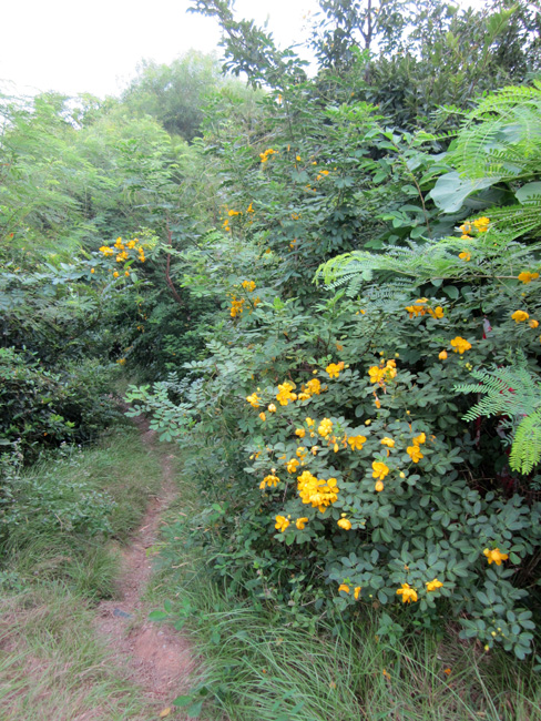 2010.10 270.jpg