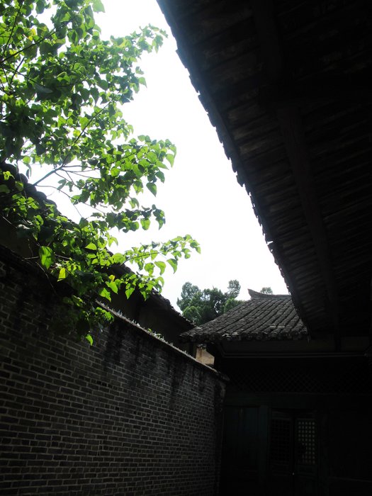 img_2267.jpg
