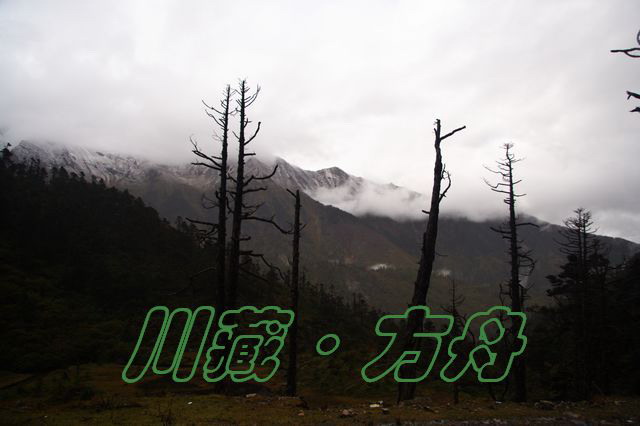 ī2.jpg