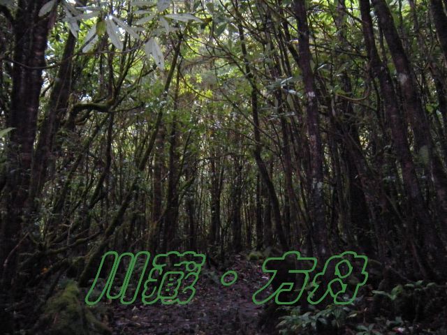 dscn0555.jpg