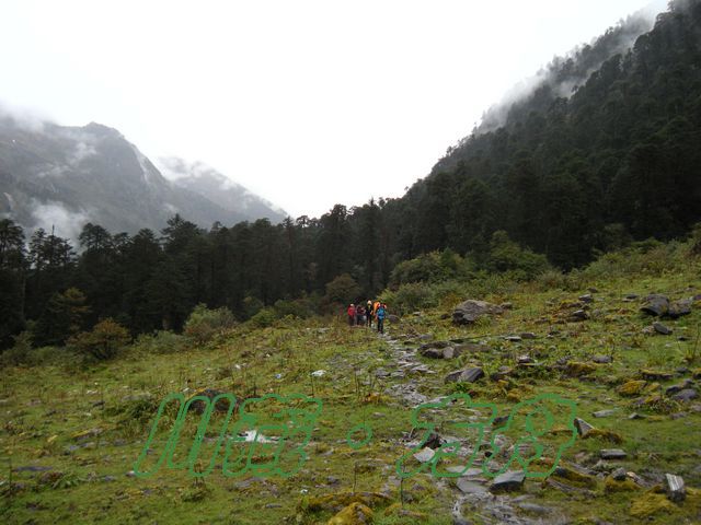 dscn0540.jpg