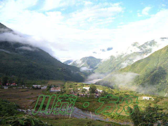ī50.jpg