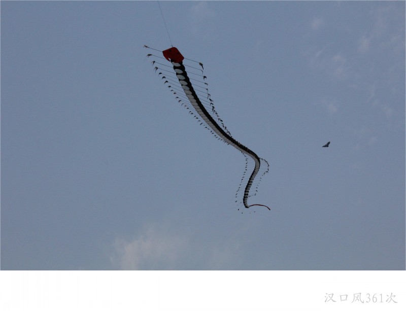 conew_img_8821.jpg