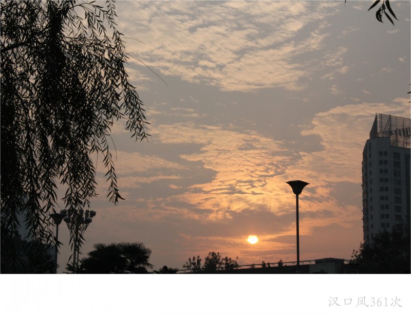 conew_img_8838.jpg