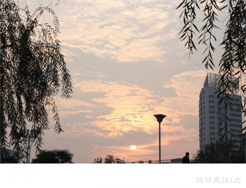 conew_img_8837.jpg
