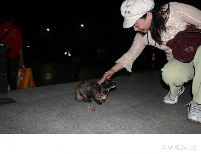 conew_img_8902.jpg