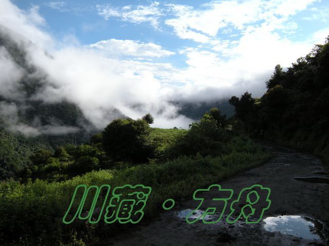 ī53.jpg