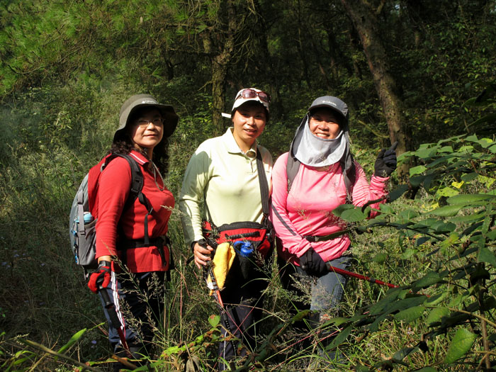 yuen 333.jpg