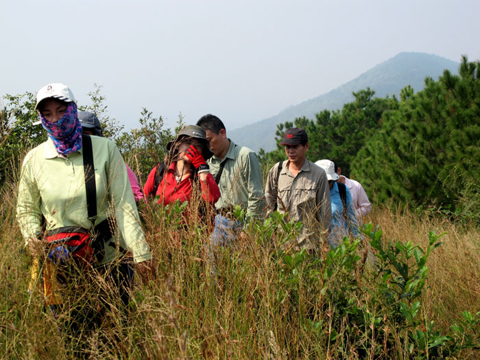 yuen 356.jpg