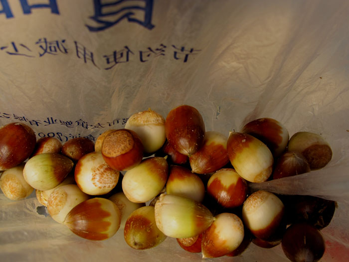 yuen 378.jpg