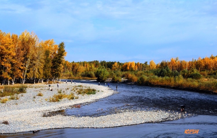 dsc_0086.jpg
