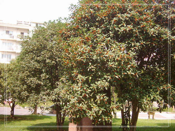 dsci0006.jpg